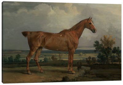 Hunter In A Landscape, 1810 Canvas Art Print