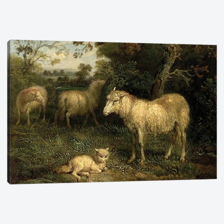 Landscape With Sheep Canvas Print #BMN11134} by James Ward Canvas Print