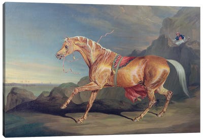 Mr Alfred Bonar's Arabian, Dare Devil Canvas Art Print