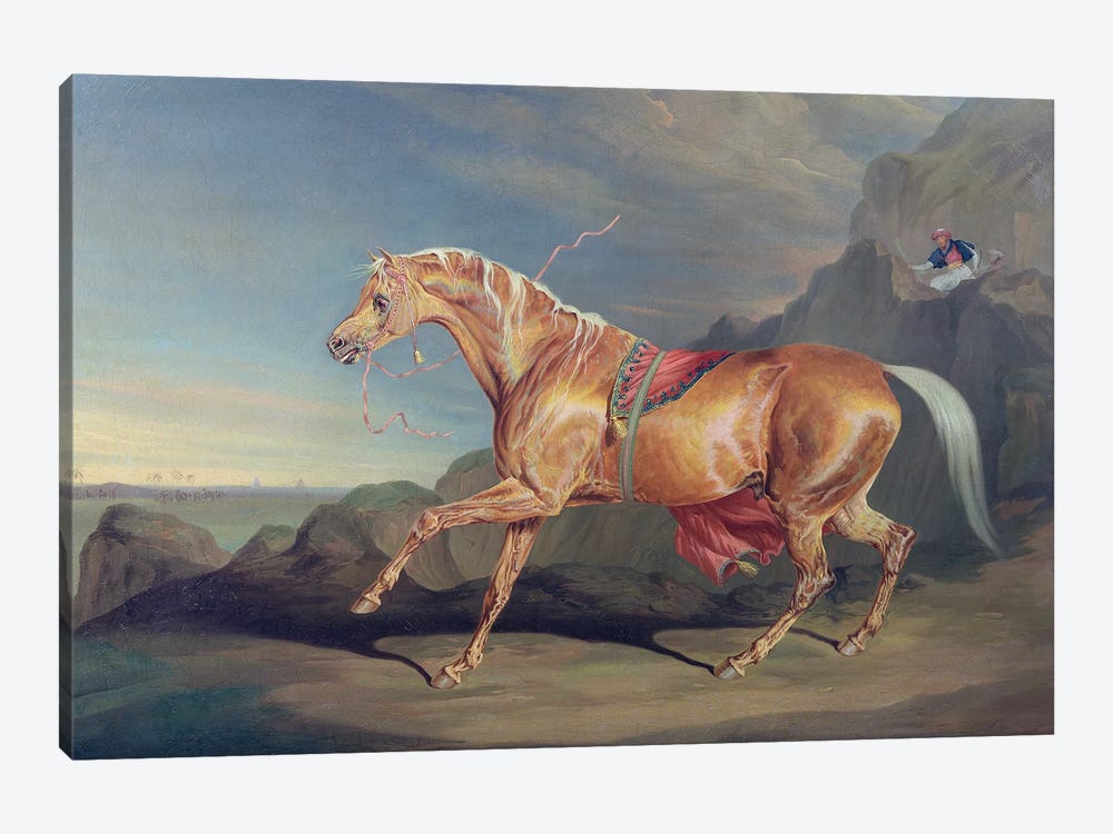 Mr Alfred Bonar's Arabian, Dare Devil 1-piece Canvas Artwork
