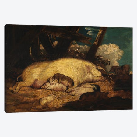 Pigs, Not Before 1793 Canvas Print #BMN11137} by James Ward Art Print
