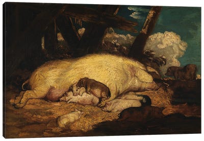 Pigs, Not Before 1793 Canvas Art Print - James Ward