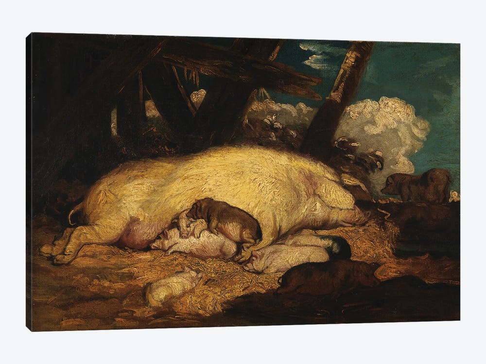Pigs, Not Before 1793 1-piece Canvas Art Print
