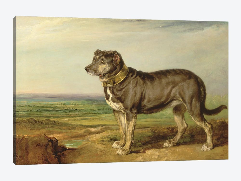 Portrait Of `Vic', A Spanish Bloodhound, C.1818-20 by James Ward 1-piece Canvas Artwork