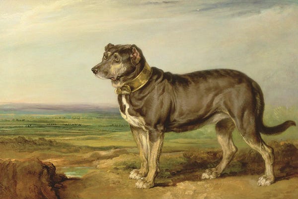 Bloodhounds: Portrait Of `Vic', A Spanish Bloodhound, C.1818-20 by James Ward