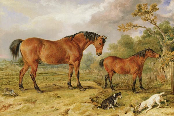 James Ward