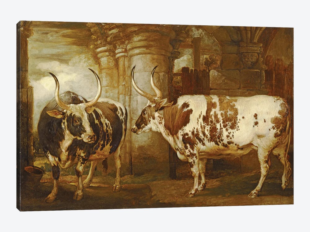 Portraits Of Two Extraordinary Oxen, The Property Of The Earl Of Powis, 1814 by James Ward 1-piece Canvas Wall Art