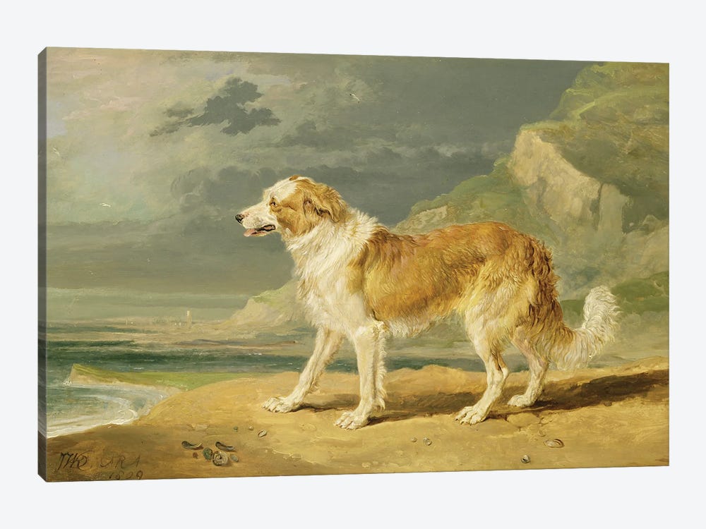 Rough-Coated Collie, 1809 by James Ward 1-piece Canvas Art