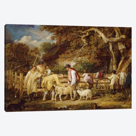 Sheep Salving, 1828 Canvas Print #BMN11148} by James Ward Canvas Print