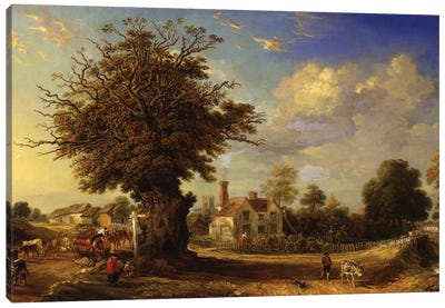 The Yeldham Oak At Great Yeldham, Essex, 1833 Canvas Art Print - Oak Tree Art