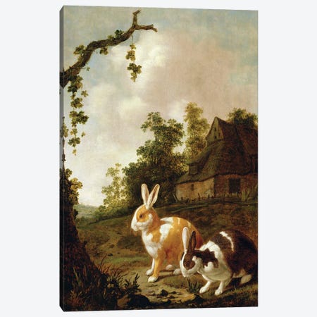 Wooded Landscape With Two Hares Canvas Print #BMN11225} by Dirck Wyntrack Canvas Print