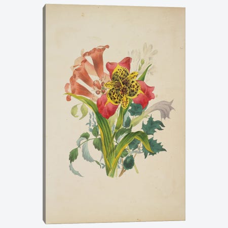 Bouquet Of Trumpet Vine (Illustration From Flora's Dictionary), 1838 Canvas Print #BMN11238} by E. W. Wirt Canvas Art Print