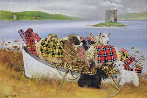 Sheep: Sheep With Tartan, 1999 by E.B. Watts