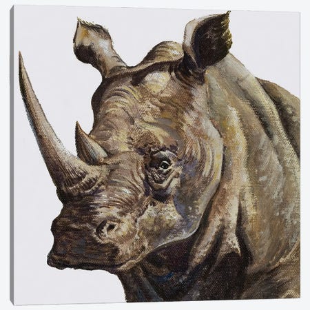 White Rhinoceros, 1980 Canvas Print #BMN11284} by English School Canvas Print