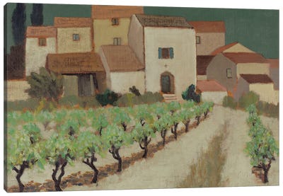 Vineyard, Provence Canvas Art Print