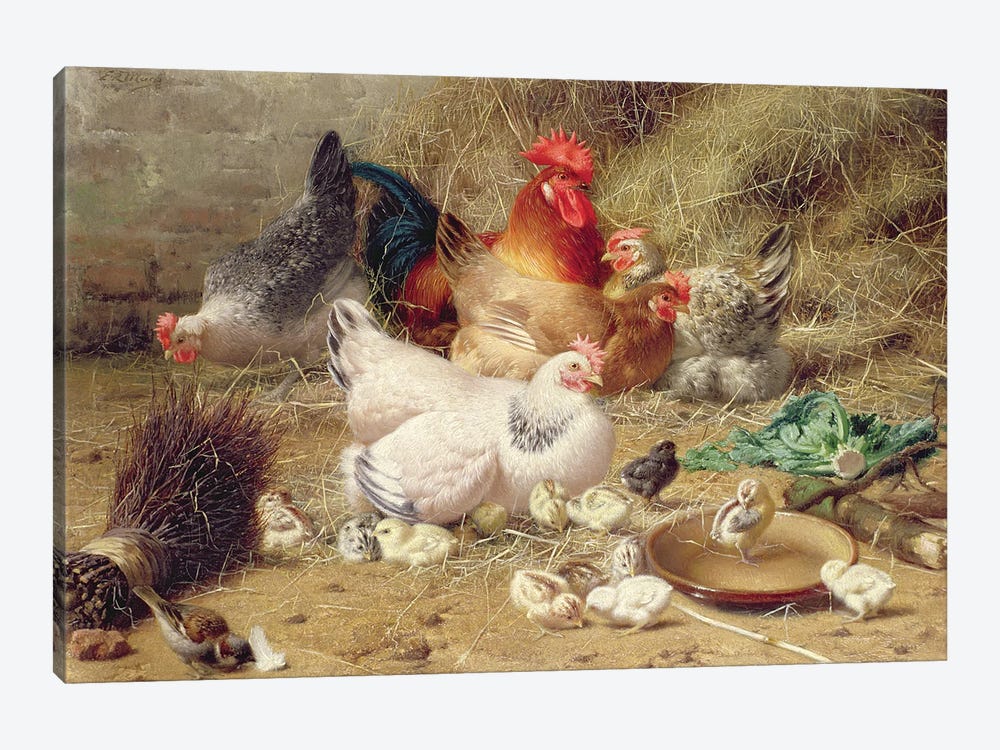 Hens Roosting With Their Chickens 1-piece Art Print