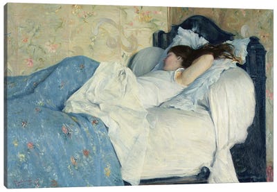 In Bed Canvas Art Print