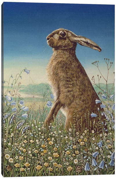 Hare, 1984 Canvas Art Print