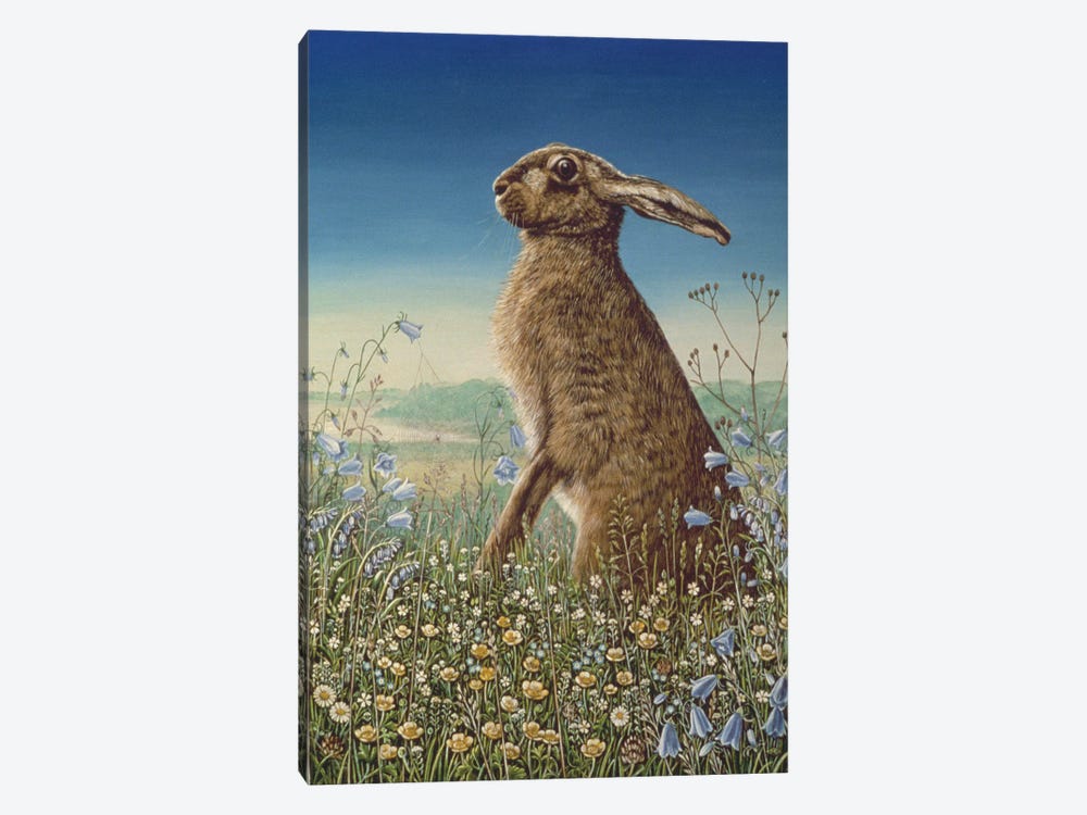 Hare, 1984 by Frances Broomfield 1-piece Canvas Artwork