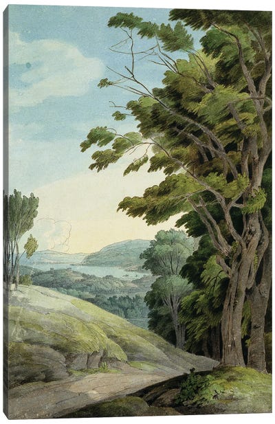 View From Rydal Park Canvas Art Print