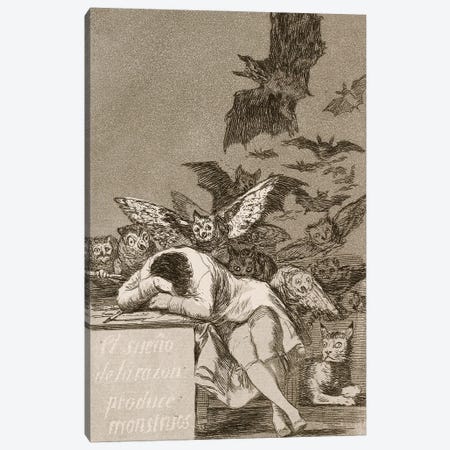 The Sleep Of Reason Produces Monsters (Illustration From Los Caprichos), 1799 Canvas Print #BMN11428} by Francisco Goya Canvas Artwork