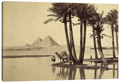 Distant View Of The Pyramids No. 6 Canvas Art Print
