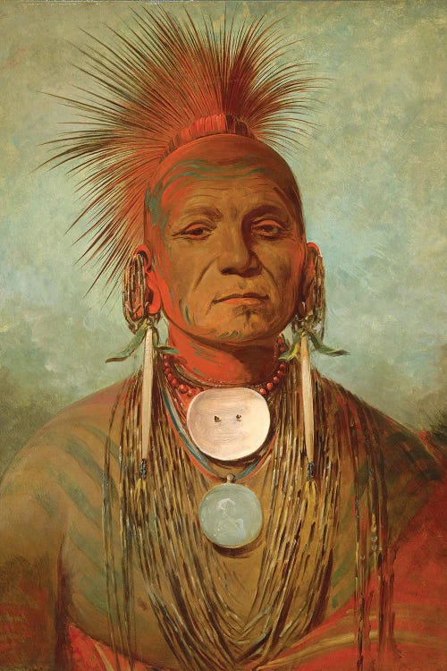 See-non-ty-a, An Iowa Medicine Man, c.1844-45 by George Catlin wall art