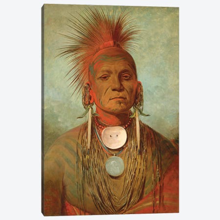 See-non-ty-a, An Iowa Medicine Man, c.1844-45 Canvas Print #BMN11534} by George Catlin Canvas Art Print