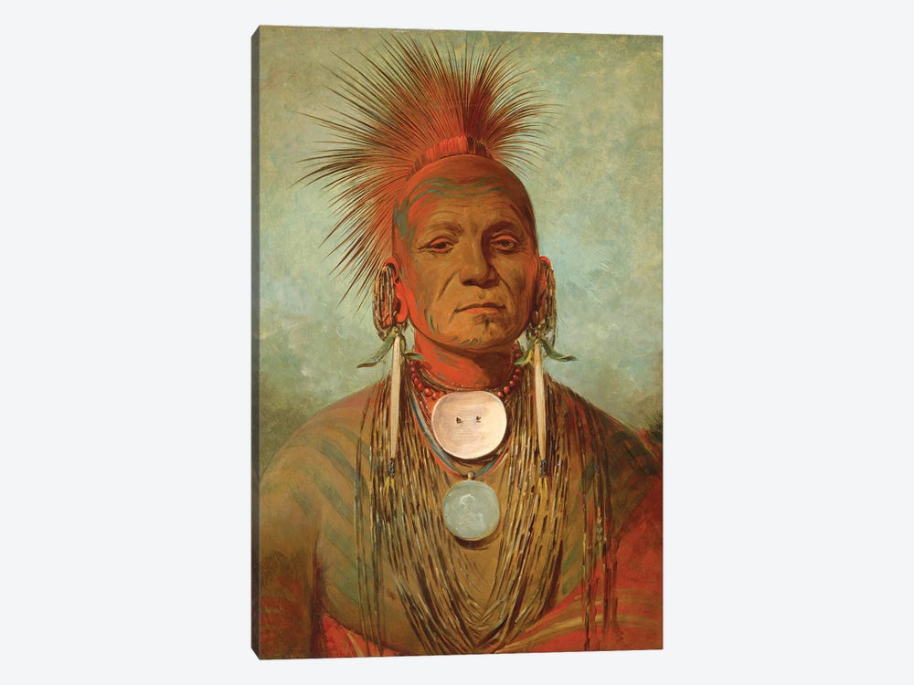 See-non-ty-a, An Iowa Medicine Man, c.1844-45 by George Catlin 1-piece Canvas Print