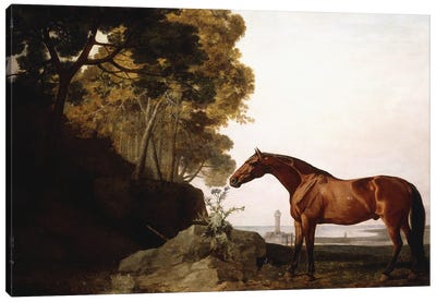A Bay Arab In A Coastal Landscape, 1779 Canvas Art Print - George Stubbs