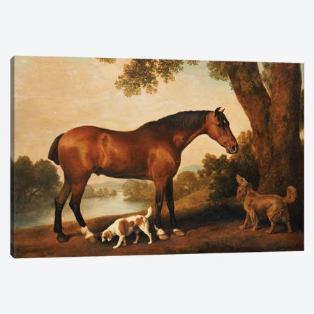 A Bay Hunter, A Springer Spaniel And A Sussex Spaniel, 1782 Canvas Print #BMN11553} by George Stubbs Canvas Wall Art
