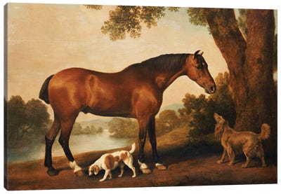 A Bay Hunter, A Springer Spaniel And A Sussex Spaniel, 1782 Canvas Art Print - Romanticism Art