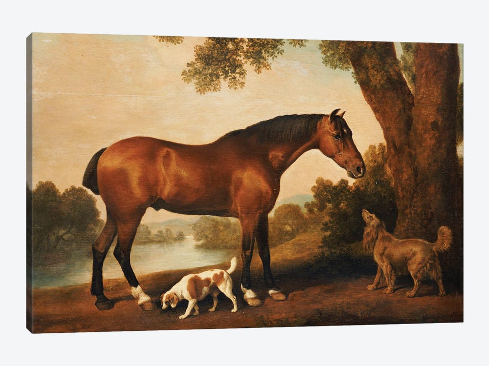 A Bay Hunter, A Springer Spaniel And A Sussex Spaniel, 1782 by George Stubbs 1-piece Canvas Art