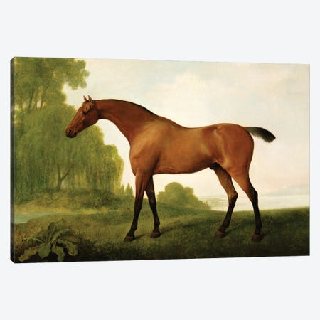A Bay Thoroughbred In A Landscape, 1801 Canvas Print #BMN11554} by George Stubbs Canvas Art Print