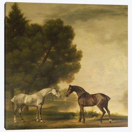 A Grey And A Bay In A Landscape Canvas Print #BMN11555} by George Stubbs Canvas Print