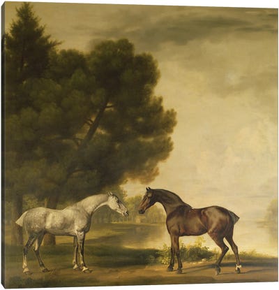 A Grey And A Bay In A Landscape Canvas Art Print - George Stubbs