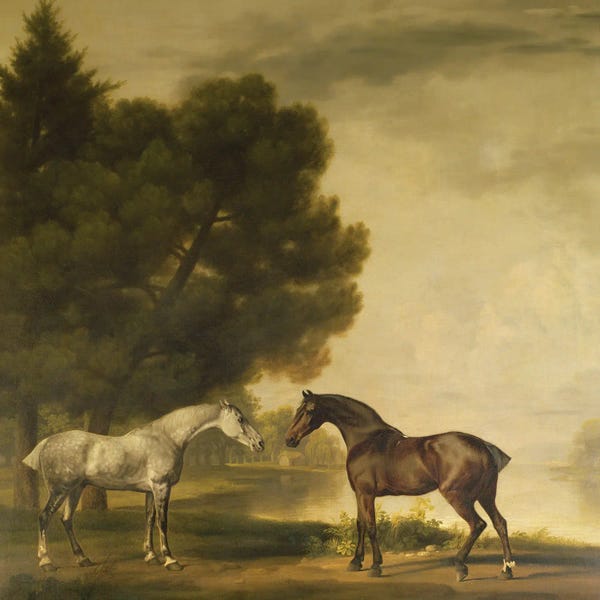 George Stubbs: A Grey And A Bay In A Landscape by George Stubbs