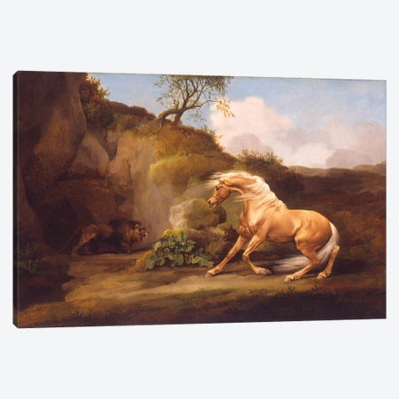 A Horse Frightened By A Lion, c.1790-5 Canvas Print #BMN11556} by George Stubbs Art Print