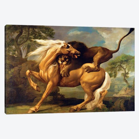 A Lion Attacking A Horse, c.1762 Canvas Print #BMN11557} by George Stubbs Art Print