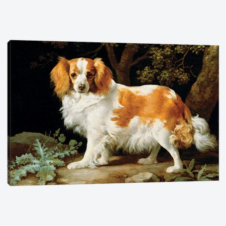 A Liver And White King Charles Spaniel In A Wooded Landscape, 1776 Canvas Print #BMN11558} by George Stubbs Canvas Wall Art