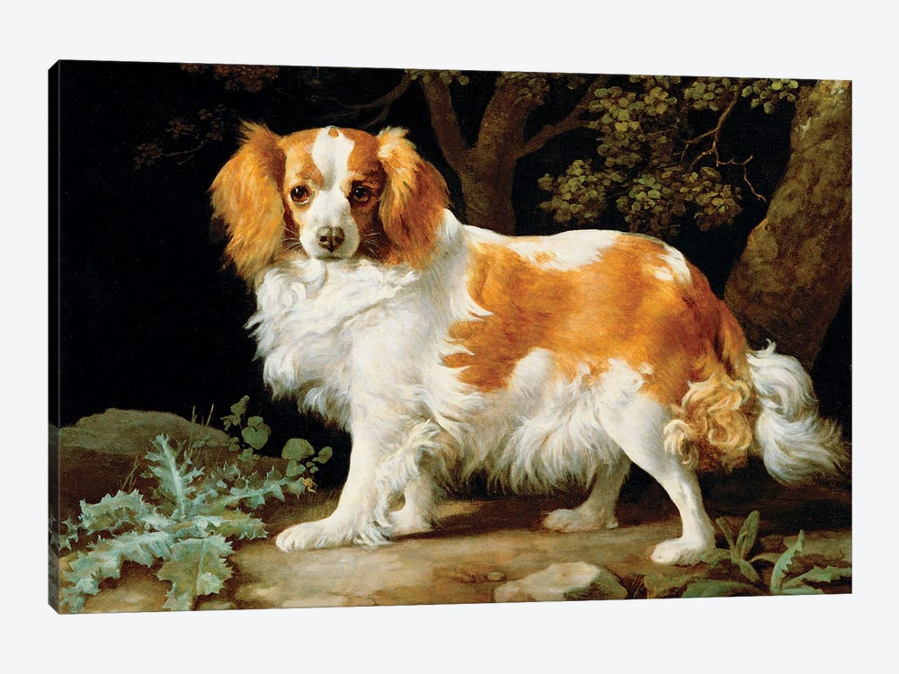 A Liver And White King Charles Spaniel In A Wooded Landscape, 1776 by George Stubbs 1-piece Art Print