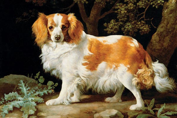 Cavalier King Charles Spaniels: A Liver And White King Charles Spaniel In A Wooded Landscape, 1776 by George Stubbs