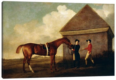 Eclipse (A Dark Chestnut Racehorse) Held By A Groom, With A Jockey, By The Rubbing Down House At Newmarket, 1770 Canvas Art Print