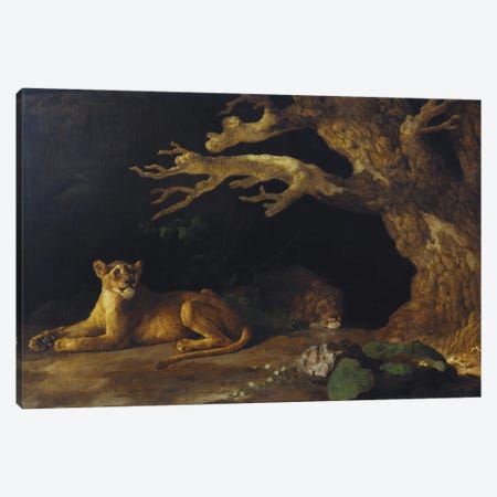 Lion And Lioness Canvas Print #BMN11565} by George Stubbs Canvas Art