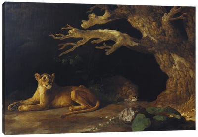 Lion And Lioness Canvas Art Print - George Stubbs