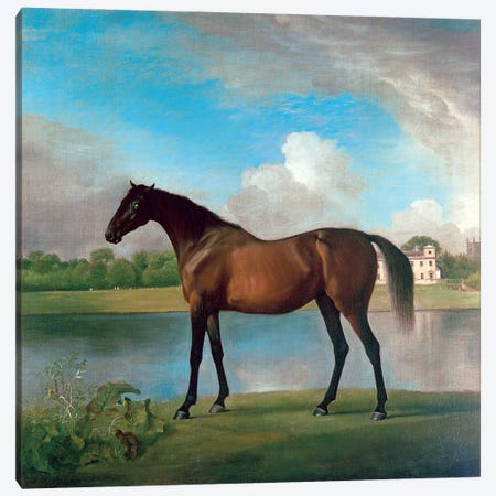 Lord Bolingbroke's Brood Mare In The Grounds Of Lydiard Park, Wiltshire, c.1764-66 Canvas Print #BMN11566} by George Stubbs Canvas Artwork