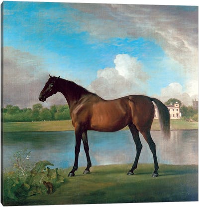 Lord Bolingbroke's Brood Mare In The Grounds Of Lydiard Park, Wiltshire, c.1764-66 Canvas Art Print - George Stubbs
