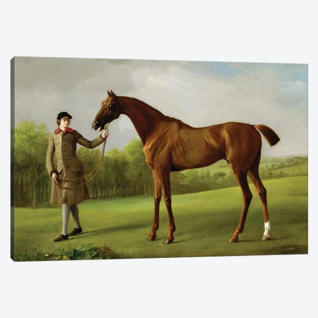 Lustre, Held By A Groom, c.1762 Canvas Print #BMN11568} by George Stubbs Canvas Print
