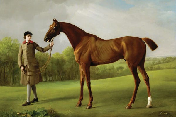 Romanticism: Lustre, Held By A Groom, c.1762 by George Stubbs