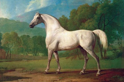 Mambrino, c.1790 by George Stubbs metal wall art